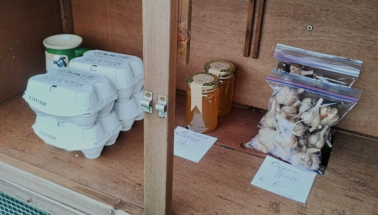 Organic Irish Garlic