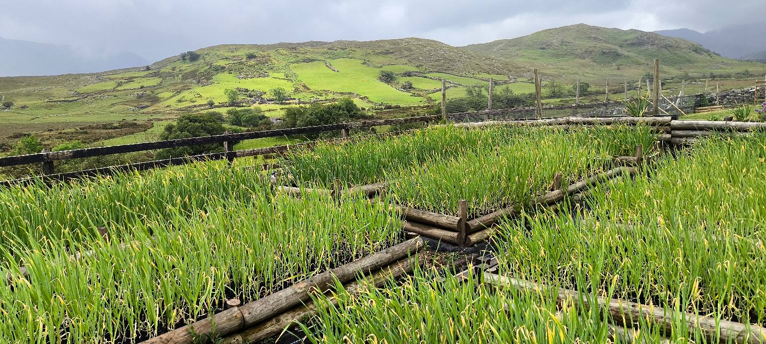 Derryherbert Farm landscape