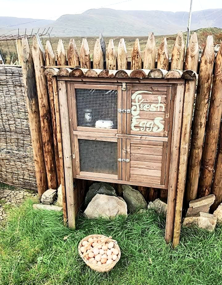 Fresh Irish Free Range Eggs